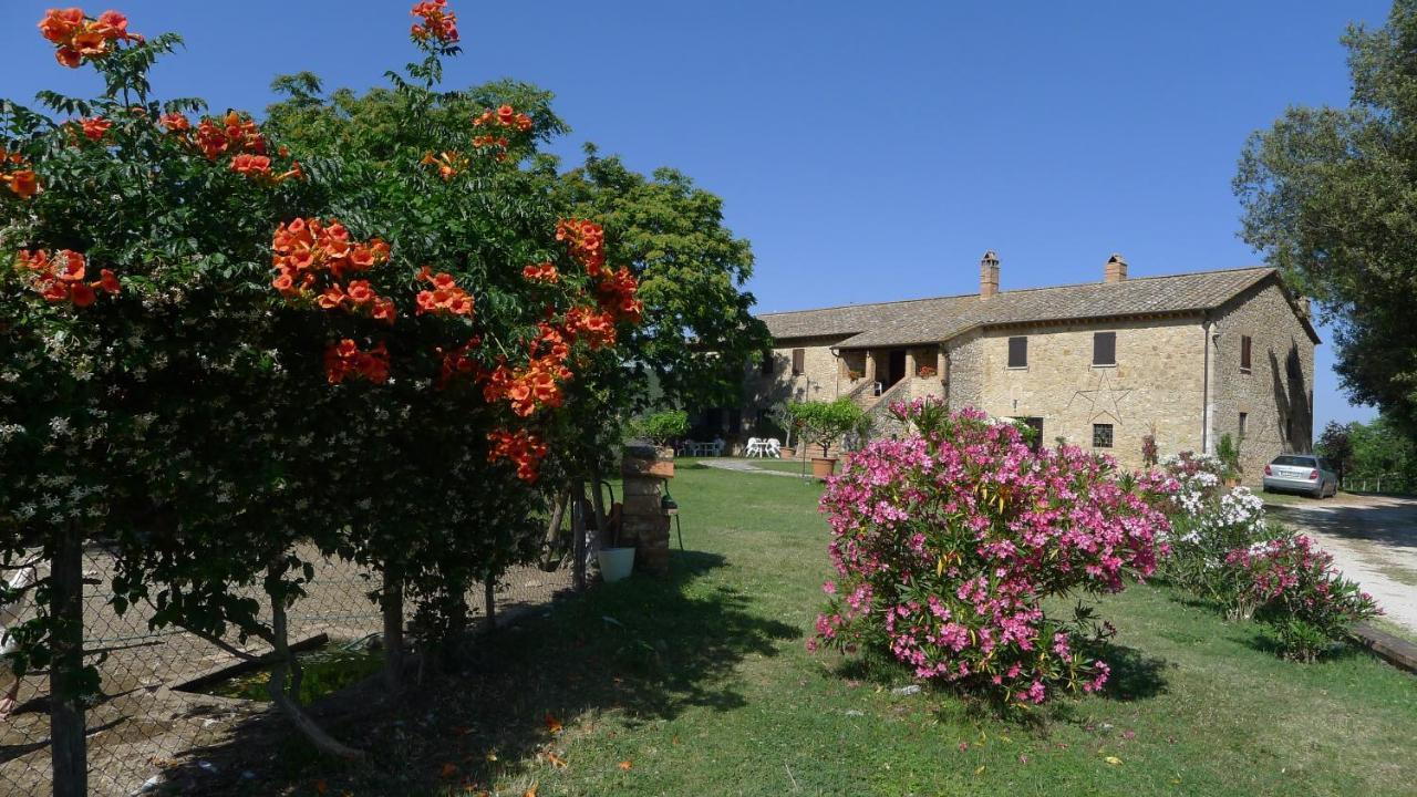 Agriturismo Podere Luchiano Амелиа Екстериор снимка