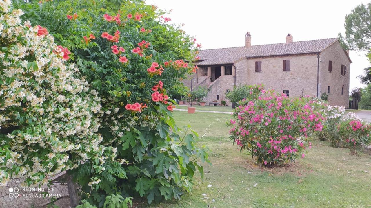 Agriturismo Podere Luchiano Амелиа Екстериор снимка