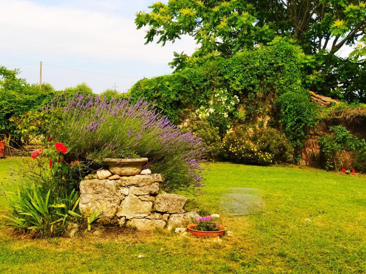 Agriturismo Podere Luchiano Амелиа Екстериор снимка