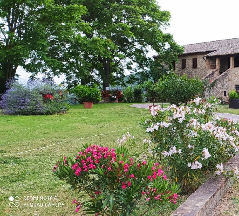 Agriturismo Podere Luchiano Амелиа Екстериор снимка