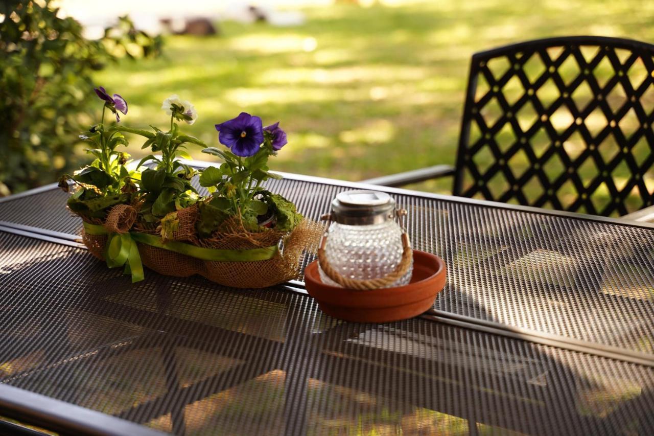 Agriturismo Podere Luchiano Амелиа Екстериор снимка