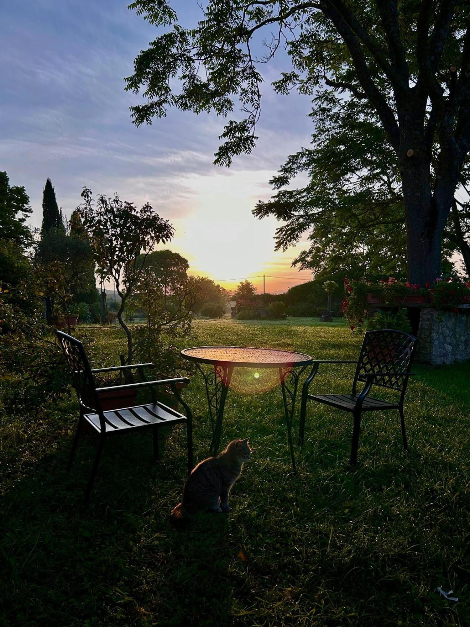 Agriturismo Podere Luchiano Амелиа Екстериор снимка