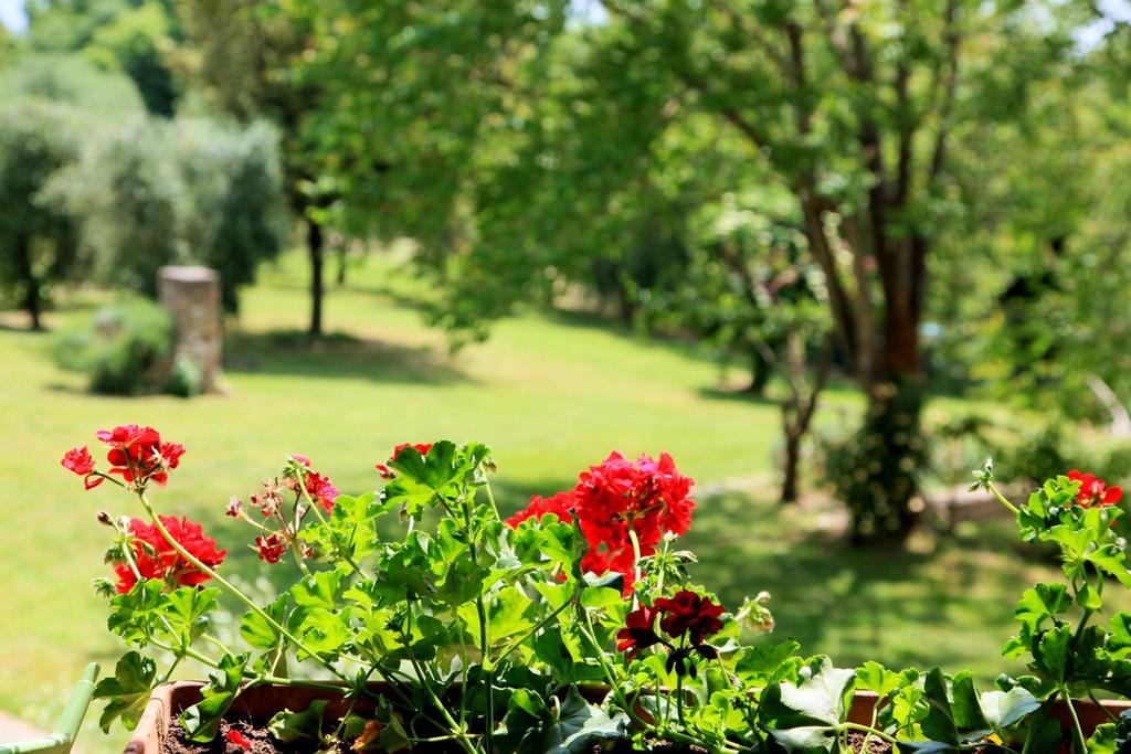 Agriturismo Podere Luchiano Амелиа Екстериор снимка