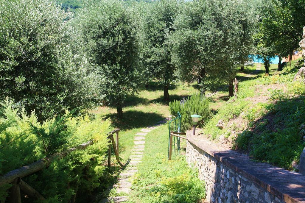 Agriturismo Podere Luchiano Амелиа Екстериор снимка