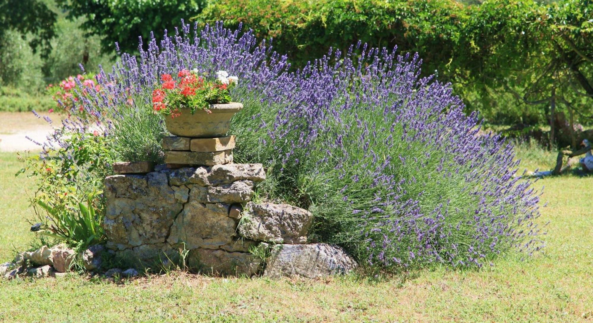 Agriturismo Podere Luchiano Амелиа Екстериор снимка