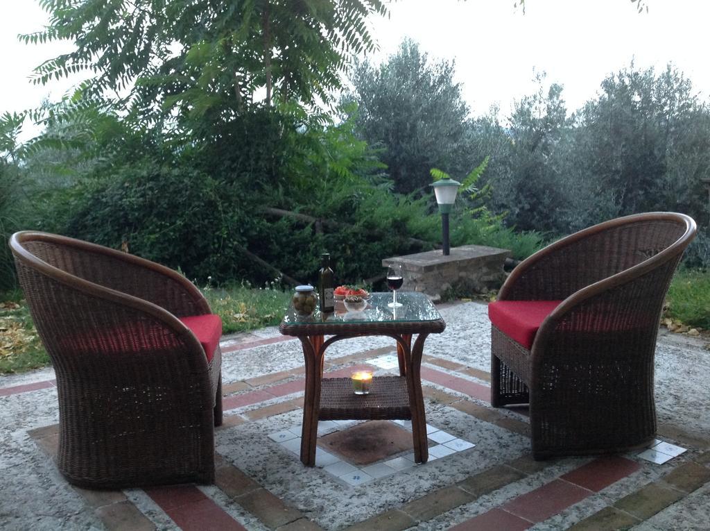 Agriturismo Podere Luchiano Амелиа Екстериор снимка