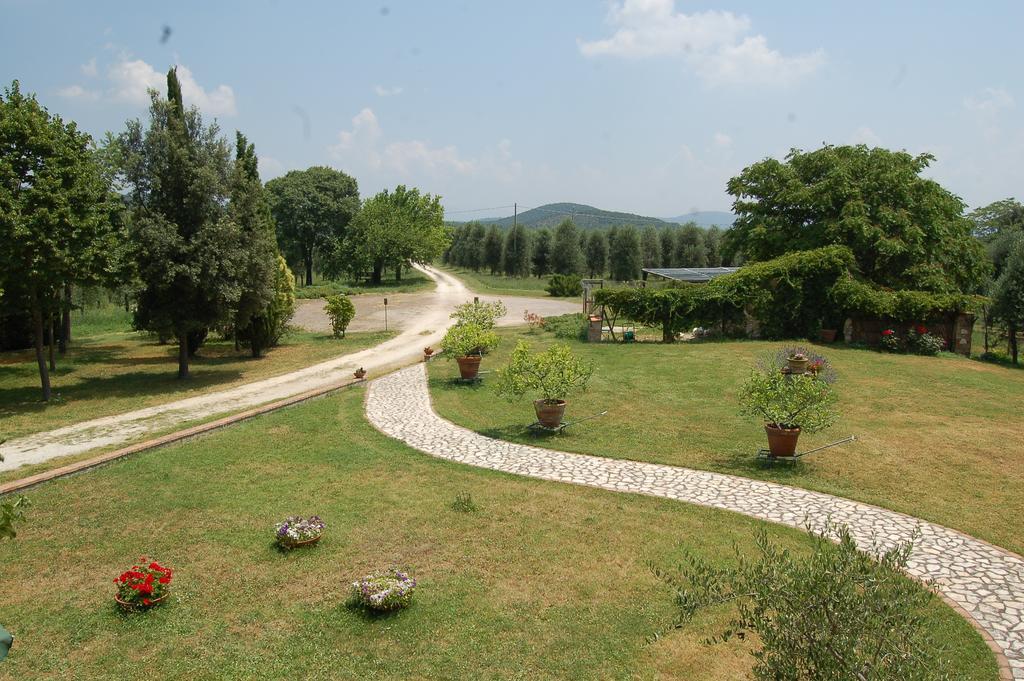Agriturismo Podere Luchiano Амелиа Екстериор снимка
