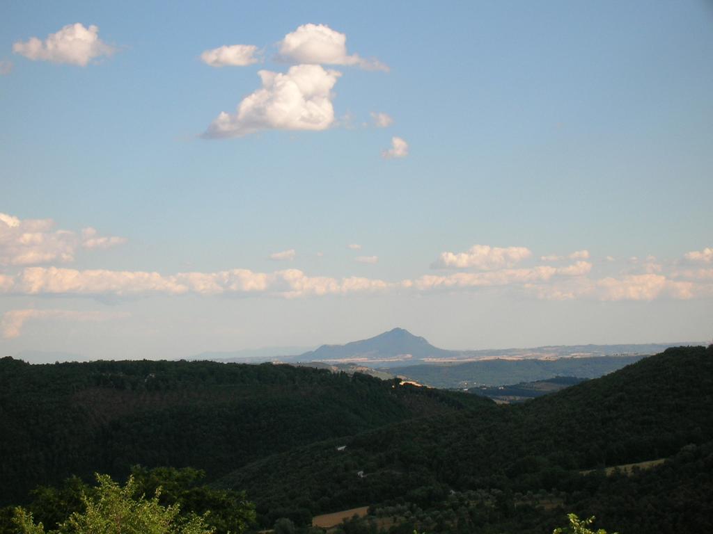 Agriturismo Podere Luchiano Амелиа Екстериор снимка