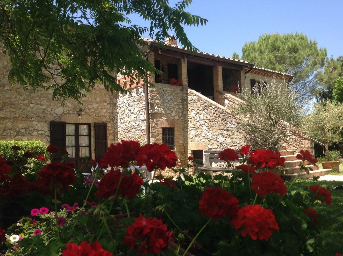 Agriturismo Podere Luchiano Амелиа Екстериор снимка