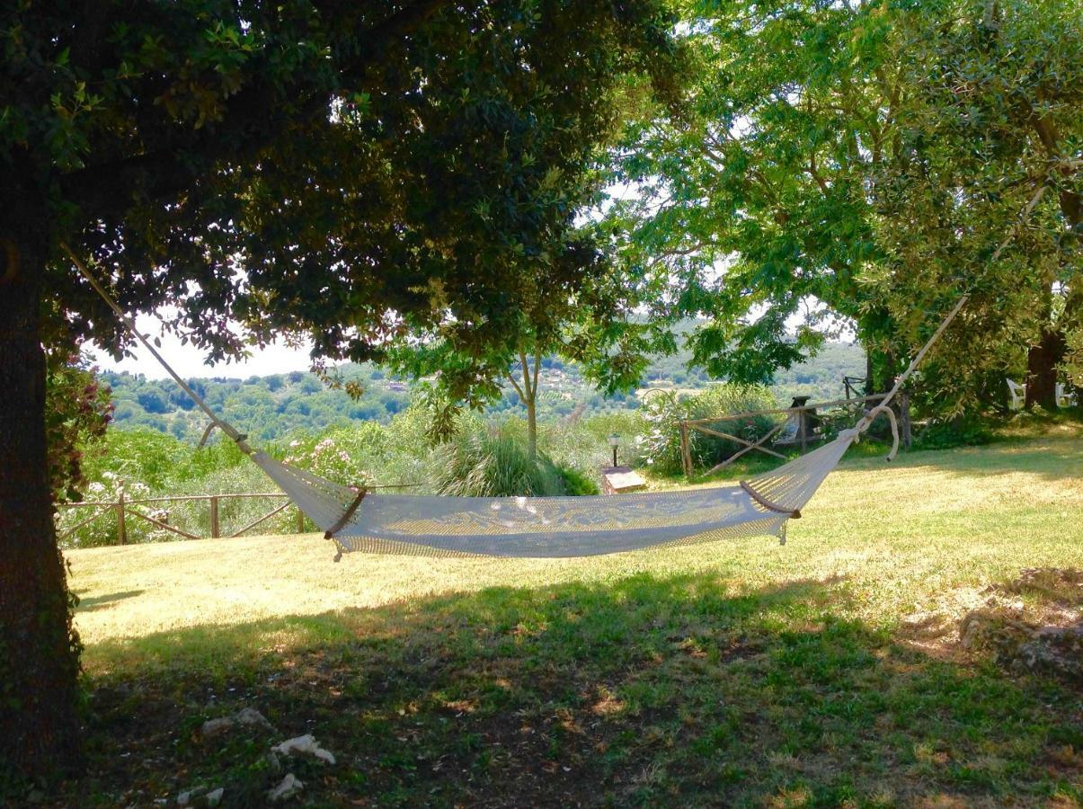 Agriturismo Podere Luchiano Амелиа Екстериор снимка