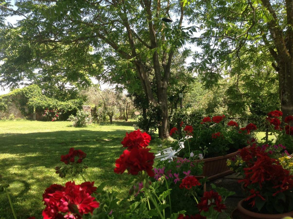 Agriturismo Podere Luchiano Амелиа Екстериор снимка